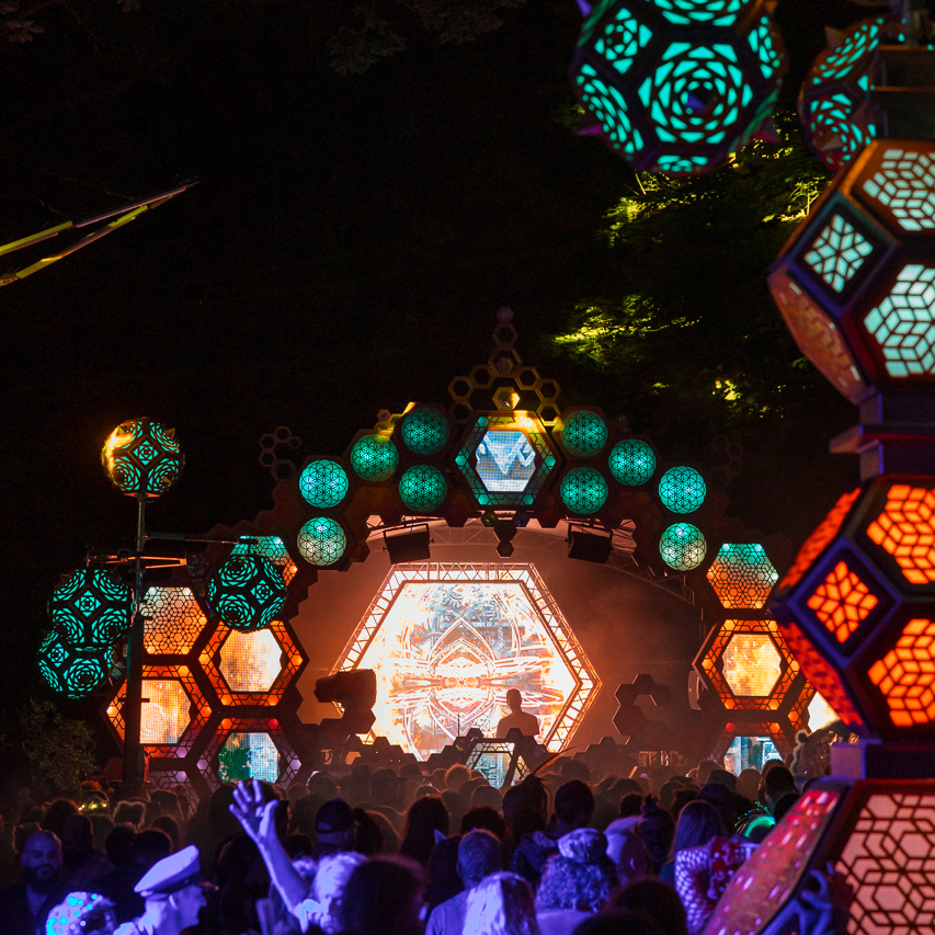 In the Woods With Noisily Festival