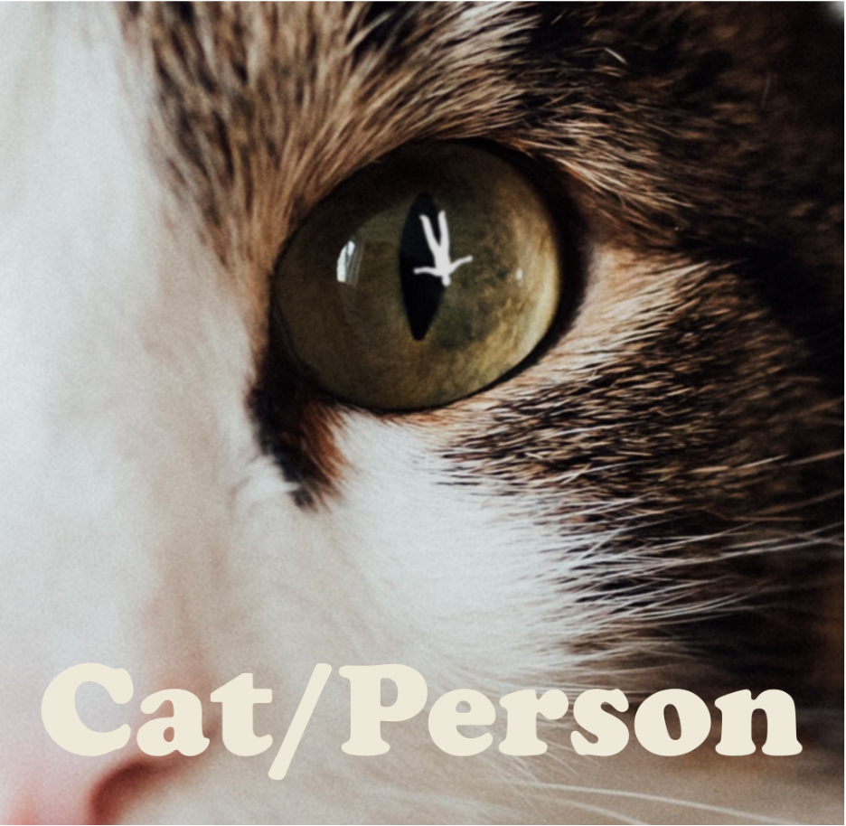 Cat/Person… The purrfect project furr us